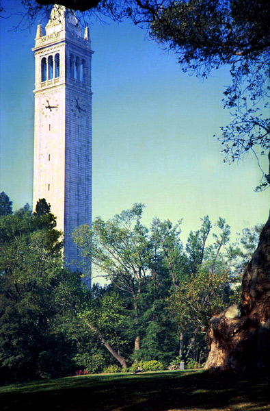 Campenile_from_Faculty_Glade