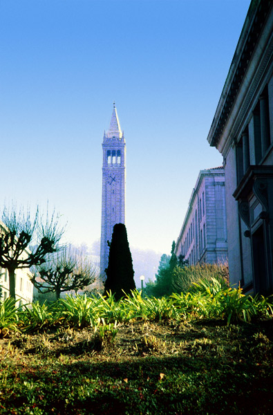 Sunday_Morning_Campenile_Way