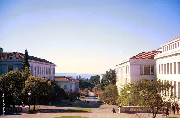 Sunday_Morning_Campenile_Way_West