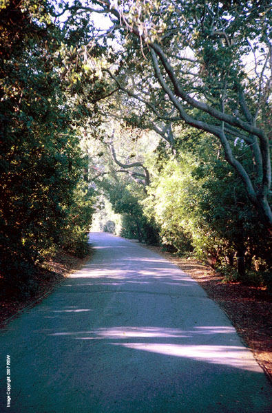 Sunday_Morning_Campus_Road