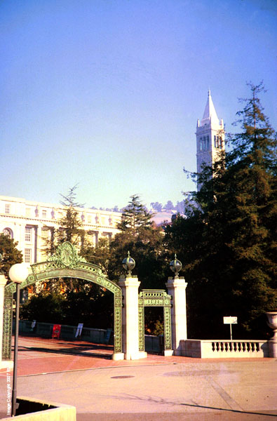 Sunday_Morning_Sather_Gate