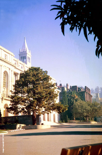 Sunday_Morning_Wheeler_Aud