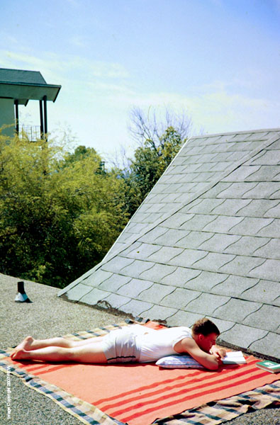 Schott_on_the_Roof