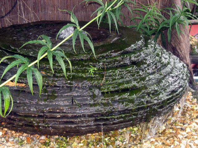 21-IMG_1196