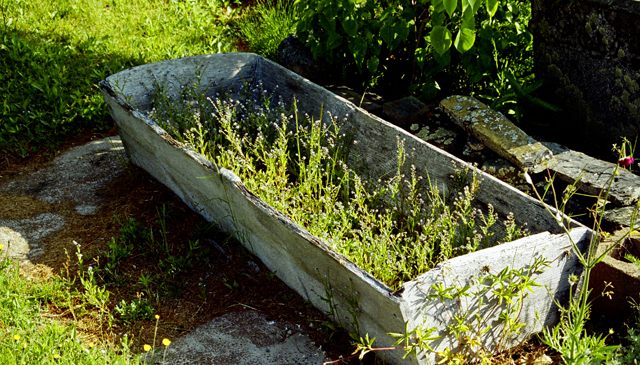 Trough planter, Oakland, NS
