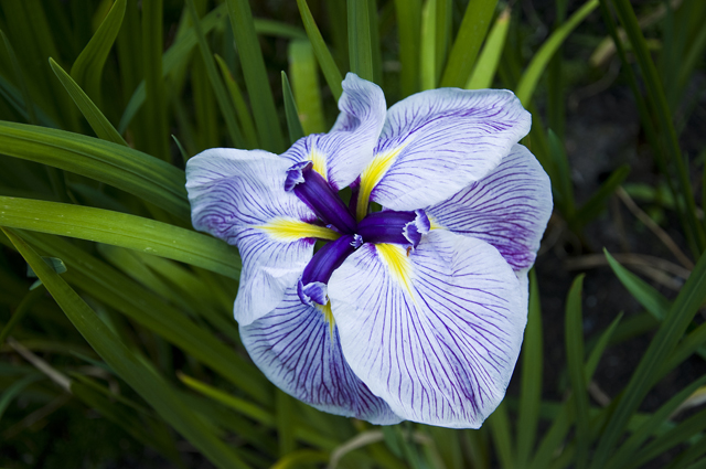 170_new_B_DSC_0125