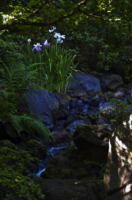 173_new_B_DSC_0130