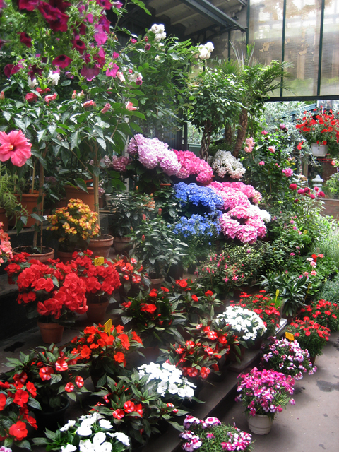 P2-26-Cite-Flower-Market-2