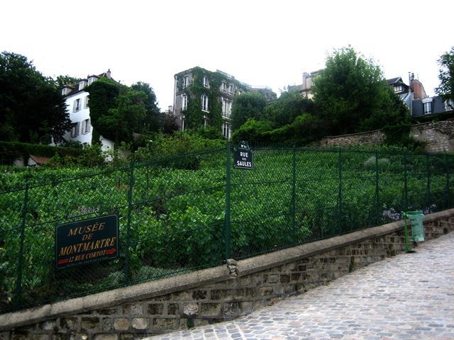 P4-19-Montmartre