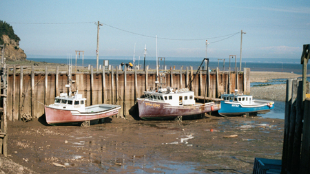 Three boats aground