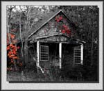 House in black & white